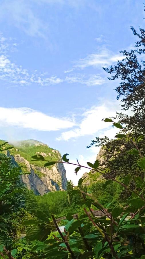 Hotel La Ginestra Acqualagna Εξωτερικό φωτογραφία